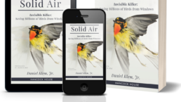 Solid Air. Invisible Killer: Saving Billions of Birds from Windows by Daniel Klem Jr in several different reading options such as tablet, mobile phone, and print.
