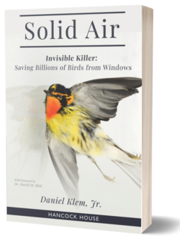 Solid Air. Invisible Killer: Saving Billions of Birds from Windows by Daniel Klem Jr in print reading format.
